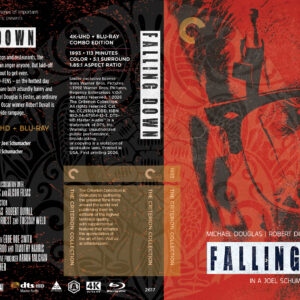 Falling Down